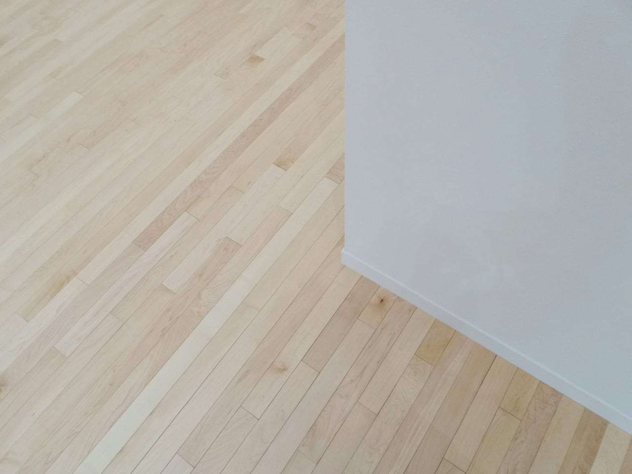 Freshly sanded herringbone parquet floor in a London living room, raw timber catching directional sunlight through tall windows